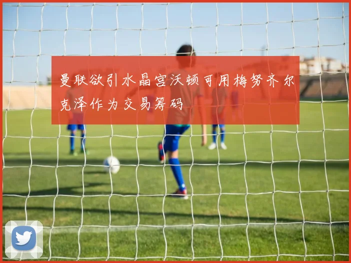 曼联欲引水晶宫沃顿可用梅努齐尔克泽作为交易筹码